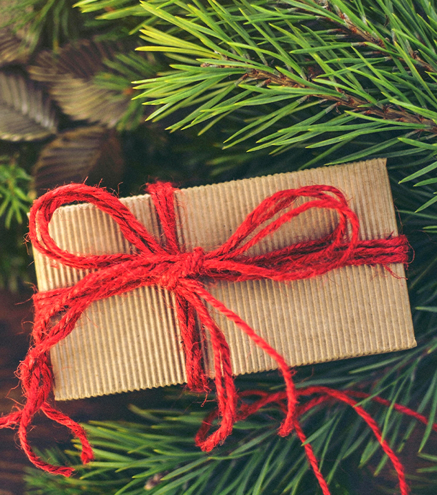 Christmas Shoebox Gifts 
Donations Accepted through November 26
Oak Brook | Butterfield
