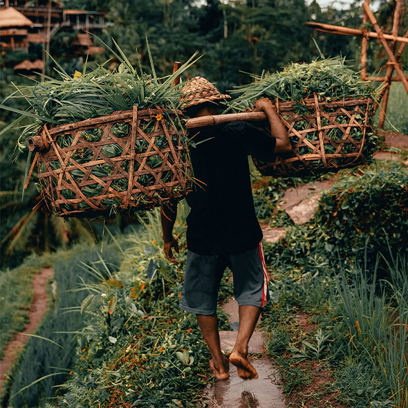 Haggai | Global

Developing Leaders
